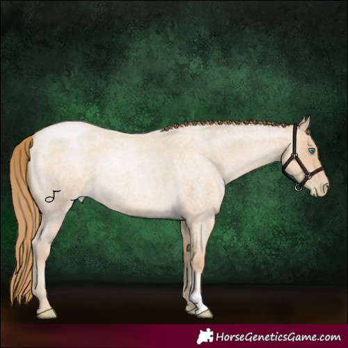 Horse Color:Smoky Blue Roan Pearl 