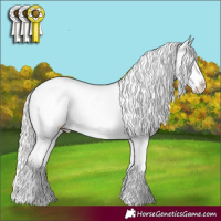 Horse Color:White Spotted Silver Smoky Grullo Pearl Snowflake Varnish