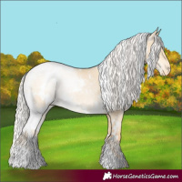 Horse Color:White Spotted Silver Smoky Grullo Pearl Snowflake Varnish