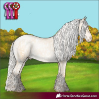 Horse Color:White Spotted Silver Smoky Grullo Pearl Appaloosa