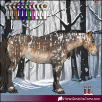 Horse Color:White Spotted Grullo Appaloosa  and White Spotted Buckskin 