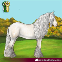Horse Color:White Spotted Silver Smoky Grullo Pearl Appaloosa 