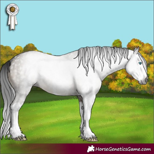 Horse Color:Gray Brown Dun Sabino Splash 