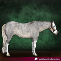 Horse Color:Silver Smoky Blue Roan Splash 