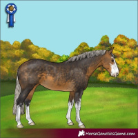 Horse Color:White Spotted Silver Buckskin