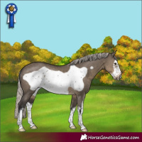 Horse Color:White Spotted Silver Smoky Grullo Frame 