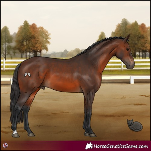 Horse Color:Brown 