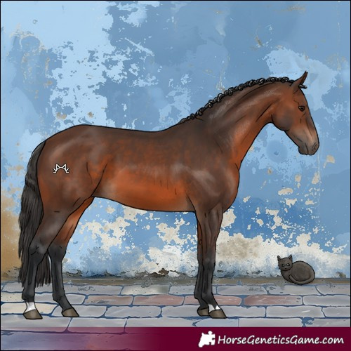 Horse Color:Brown 