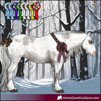 Horse Color:Silver Blue Roan Sabino Rabicano  and Silver Buckskin Roan Dun Tobiano Appaloosa Rabicano 