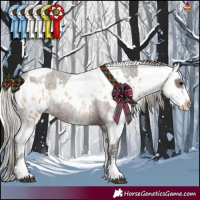 Horse Color:Silver Blue Roan Sabino Rabicano  and Silver Buckskin Roan Dun Tobiano Appaloosa Rabicano 