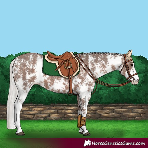 Horse Color:Silver Black Sabino