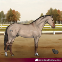 Horse Color:Liver Red Dun 