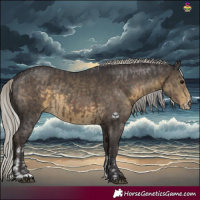 Horse Color:Silver Black Mushroom Sabino  and Silver Smoky Black Mushroom Sabino 