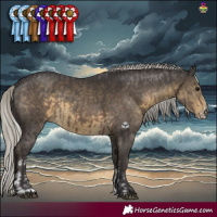 Horse Color:Silver Black Mushroom Sabino  and Silver Smoky Black Mushroom Sabino 