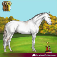 Horse Color:Gray Gold Champagne Dun Tobiano Frame