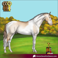Horse Color:Gray Gold Champagne Dun Tobiano Frame 
