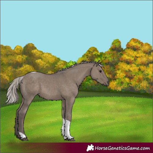 Horse Color:Silver Grullo Tobiano 