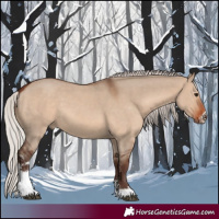 Horse Color:Silver Brown Dun Sabino 