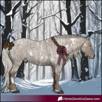Horse Color:White Spotted Silver Blue Roan Rabicano and White Spotted Silver Grullo Roan Rabicano