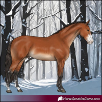 Horse Color:Bay Sabino 