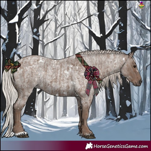 Horse Color:White Spotted Silver Blue Roan and White Spotted Silver Blue Roan
