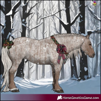 Horse Color:White Spotted Silver Blue Roan  and White Spotted Silver Blue Roan 
