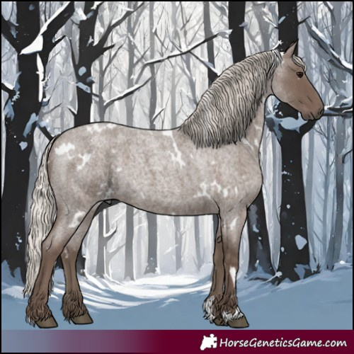 Horse Color:White Spotted Silver Blue Roan 