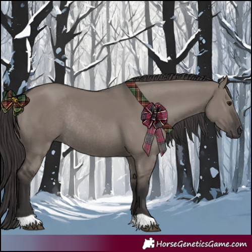 Horse Color:Smoky Grullo Rabicano 