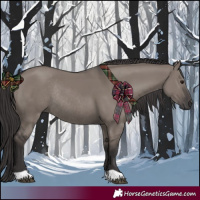 Horse Color:Smoky Grullo Rabicano 