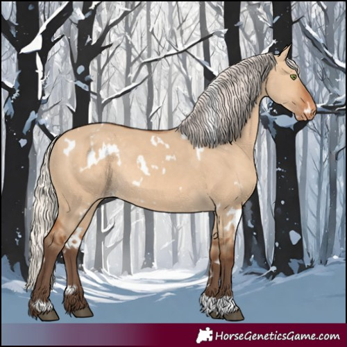 Horse Color:White Spotted Silver Bay Dun Varnish Rabicano 