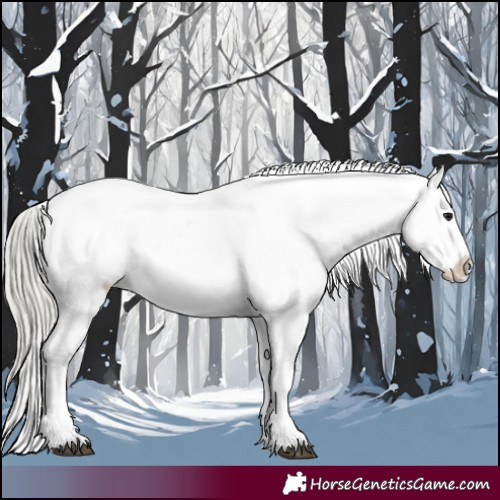 Horse Color:Silver Brown Tobiano Blanket