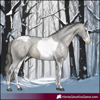 Horse Color:Buckskin Sabino Splash Tobiano Varnish 