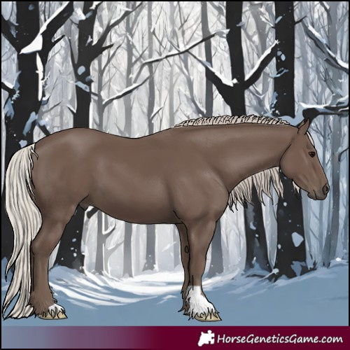 Horse Color:Silver Black 