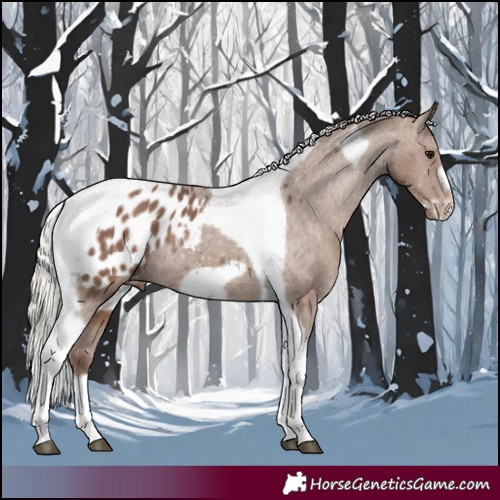 Horse Color:Silver Black Tobiano Frame Appaloosa Rabicano 