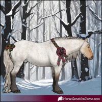 Horse Color:Silver Smoky Grullo Roan 