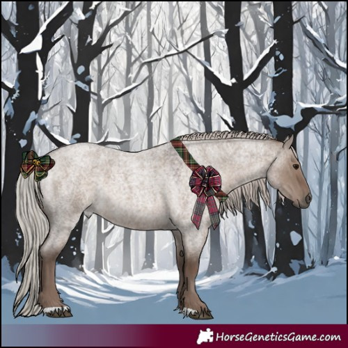 Horse Color:Silver Grullo Roan 