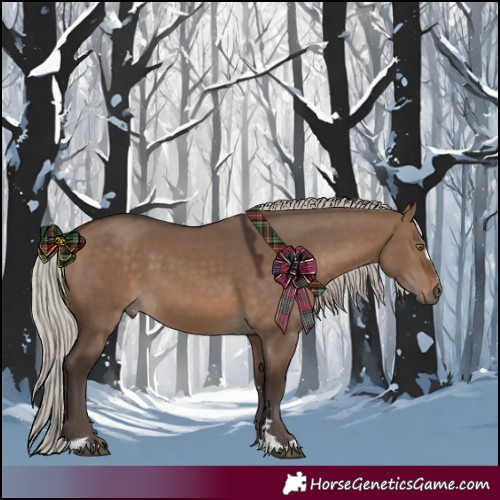 Horse Color:Silver Brown Dun 