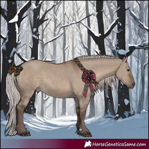 Horse Color:Silver Grullo 