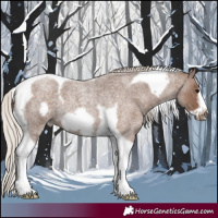 Horse Color:Silver Blue Roan Tobiano Frame