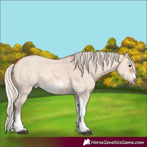Horse Color:Silver Bay Dun Sabino Tobiano Frame Rabicano 