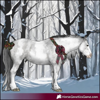 Horse Color:White Spotted Blue Roan Splash 