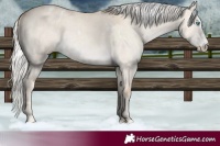 Horse Color:White Spotted Silver Smoky Creme Dun Sabino Rabicano