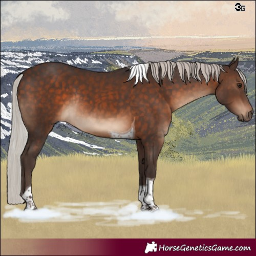 Horse Color:Silver Brown Tobiano Rabicano 