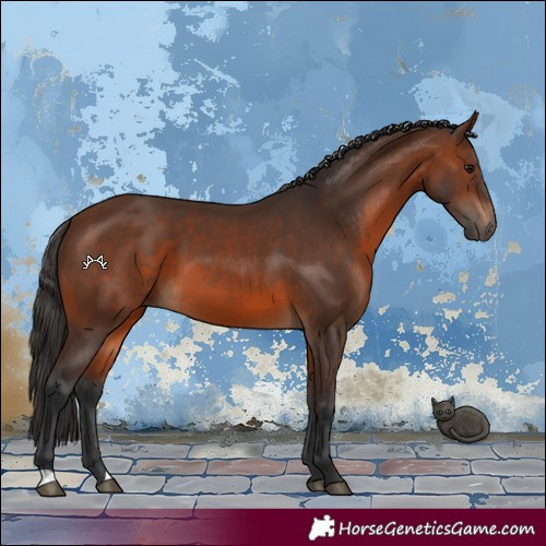 Horse Color:Brown 