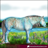 Horse Color:White Spotted Bay Splash  and White Spotted Bay Splash 