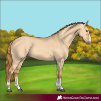 Horse Color:Red Dun 