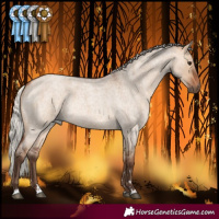Horse Color:Silver Bay Roan Dun Rabicano 