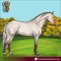 Horse Color:Silver Bay Roan Dun Rabicano 