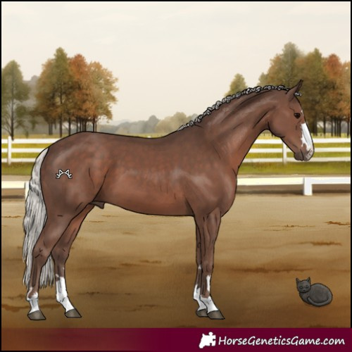 Horse Color:Silver Black 
