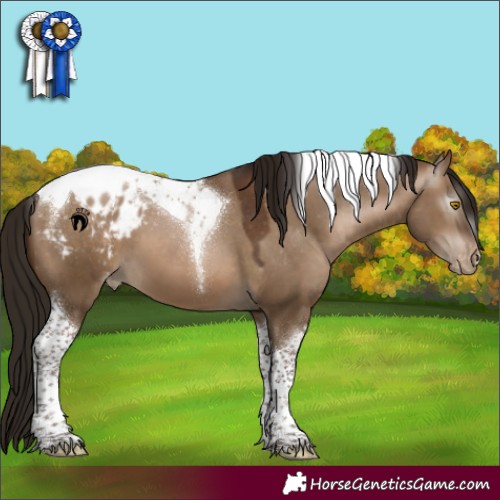 Horse Color:Gray Brown Pearl Dun Tobiano Appaloosa 